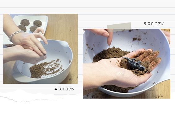 פעילות לילדים הכנת ביצי דינוזאור